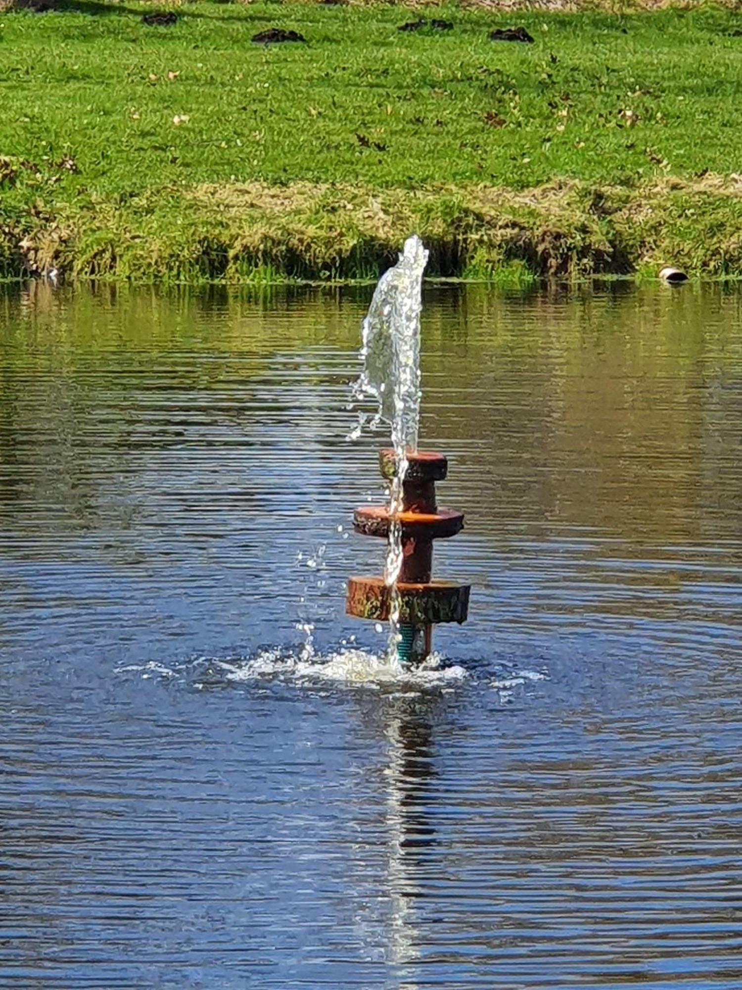 Idyllisches-Blockbohlenhaus-Mit-Eigenem-Garten-Und-Sauna-Zum-Wohlfuehlen Martensrade Екстер'єр фото