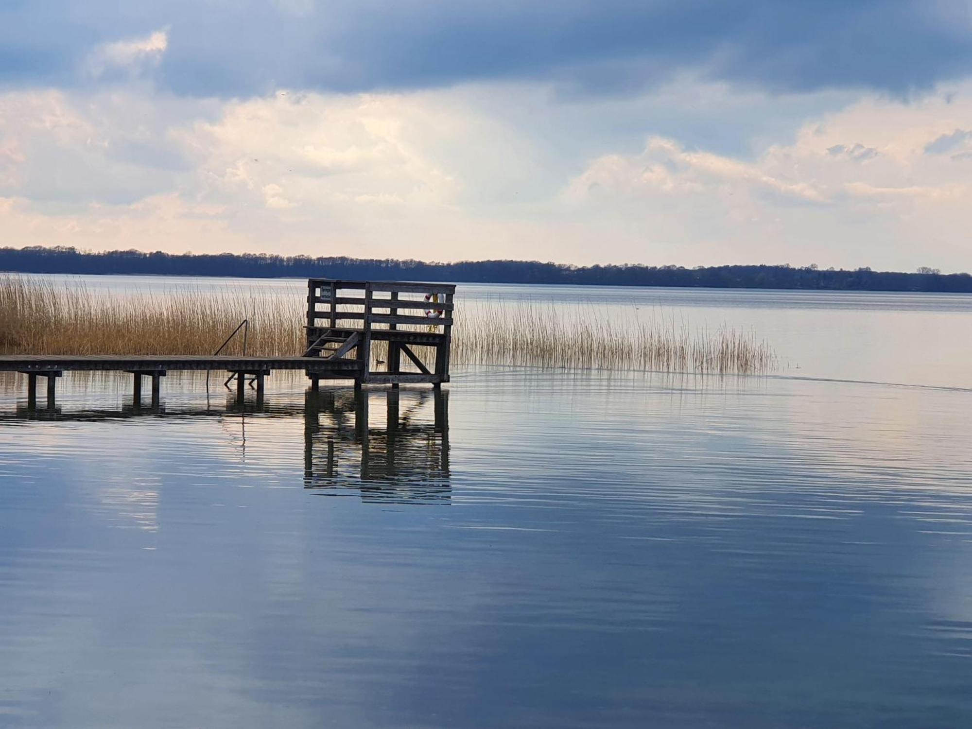 Idyllisches-Blockbohlenhaus-Mit-Eigenem-Garten-Und-Sauna-Zum-Wohlfuehlen Martensrade Екстер'єр фото