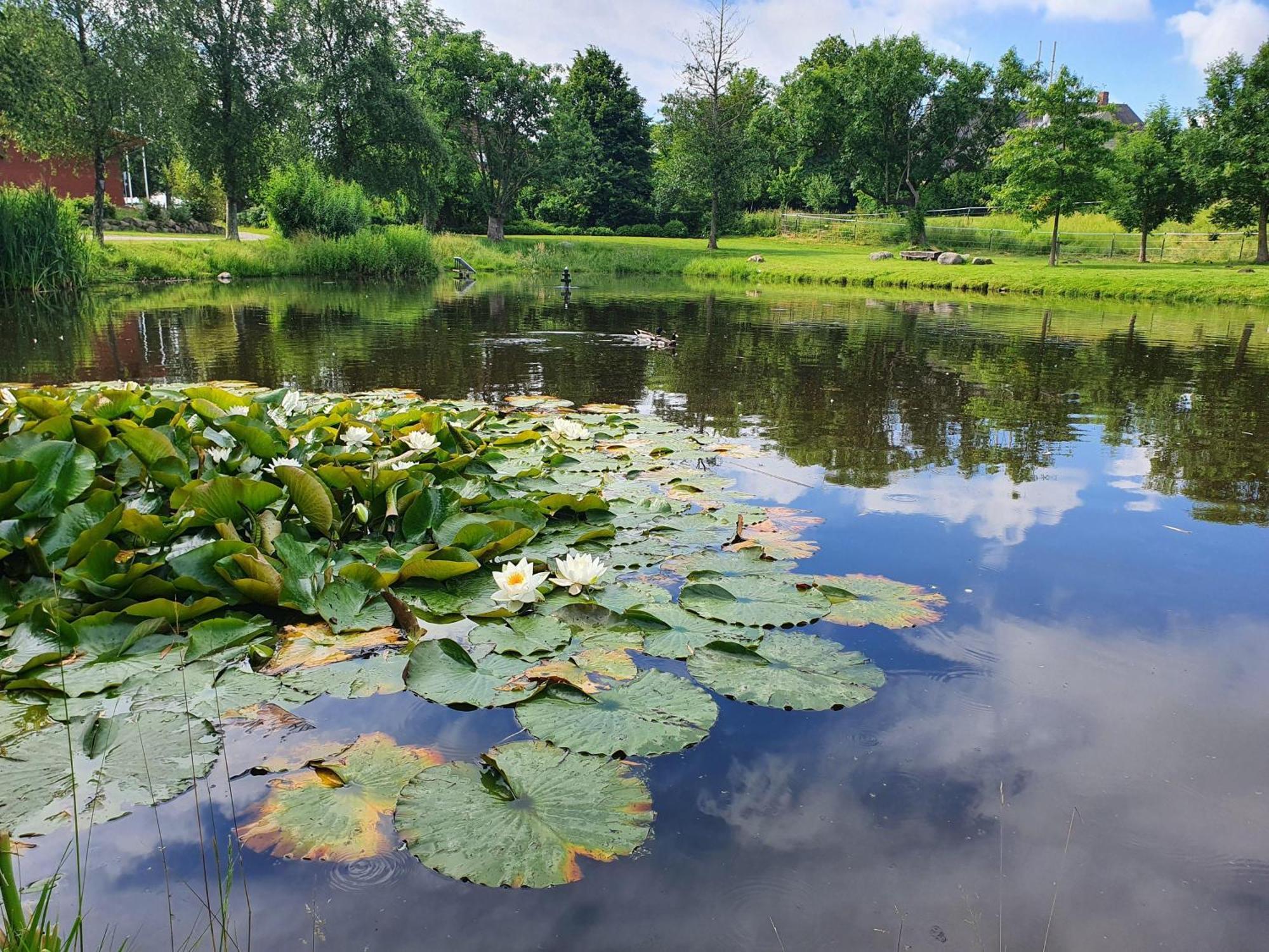 Idyllisches-Blockbohlenhaus-Mit-Eigenem-Garten-Und-Sauna-Zum-Wohlfuehlen Martensrade Екстер'єр фото