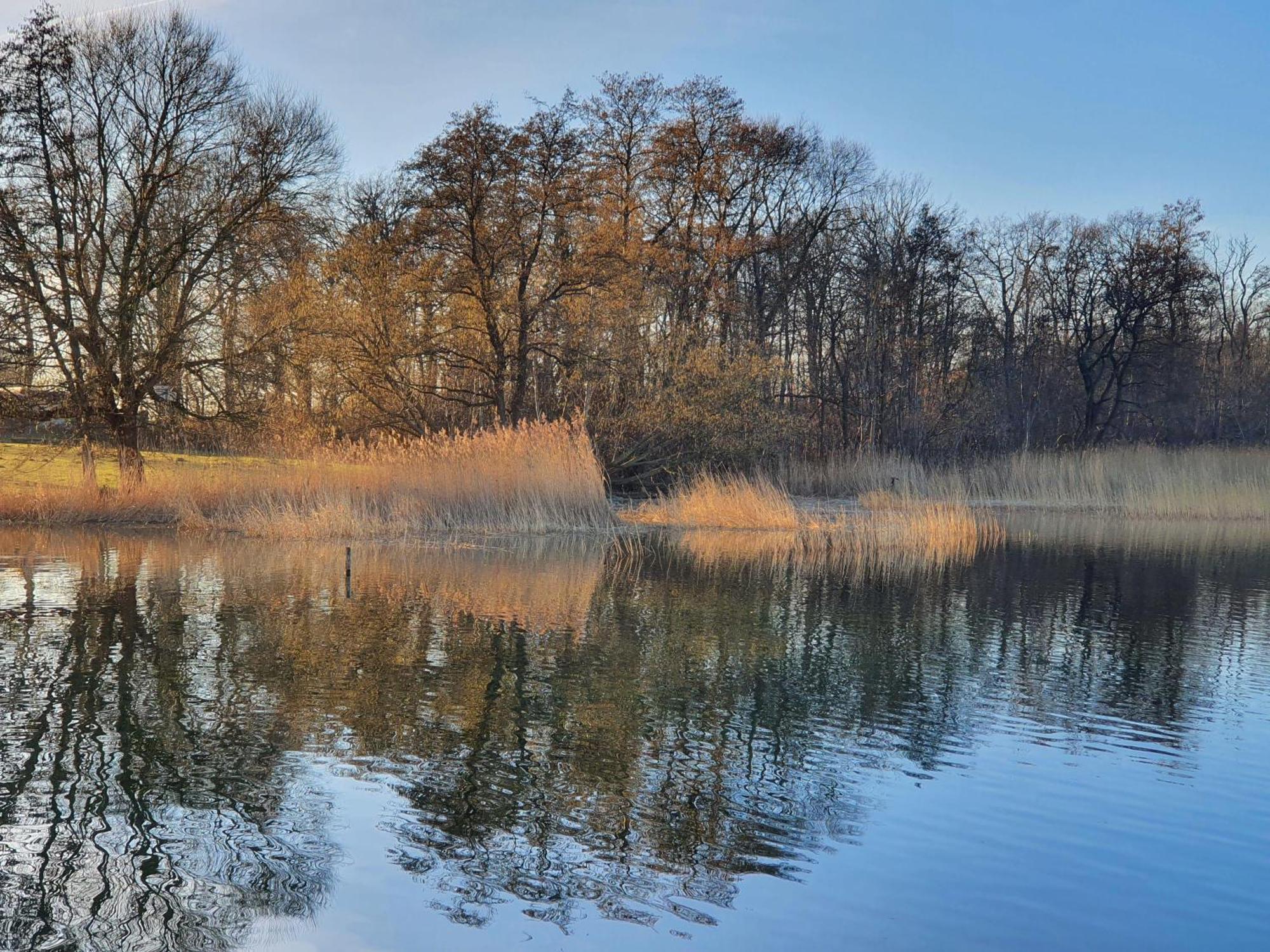 Idyllisches-Blockbohlenhaus-Mit-Eigenem-Garten-Und-Sauna-Zum-Wohlfuehlen Martensrade Екстер'єр фото